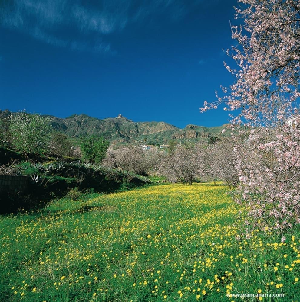 Cortijo San Ignacio Hotel El Cortijo  ภายนอก รูปภาพ