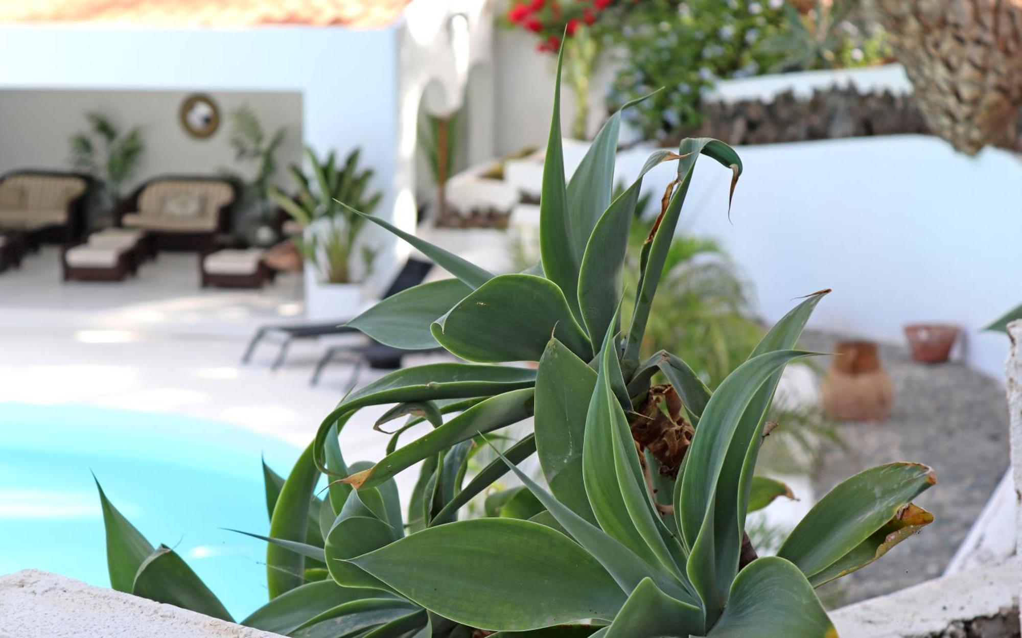 Cortijo San Ignacio Hotel El Cortijo  ภายนอก รูปภาพ