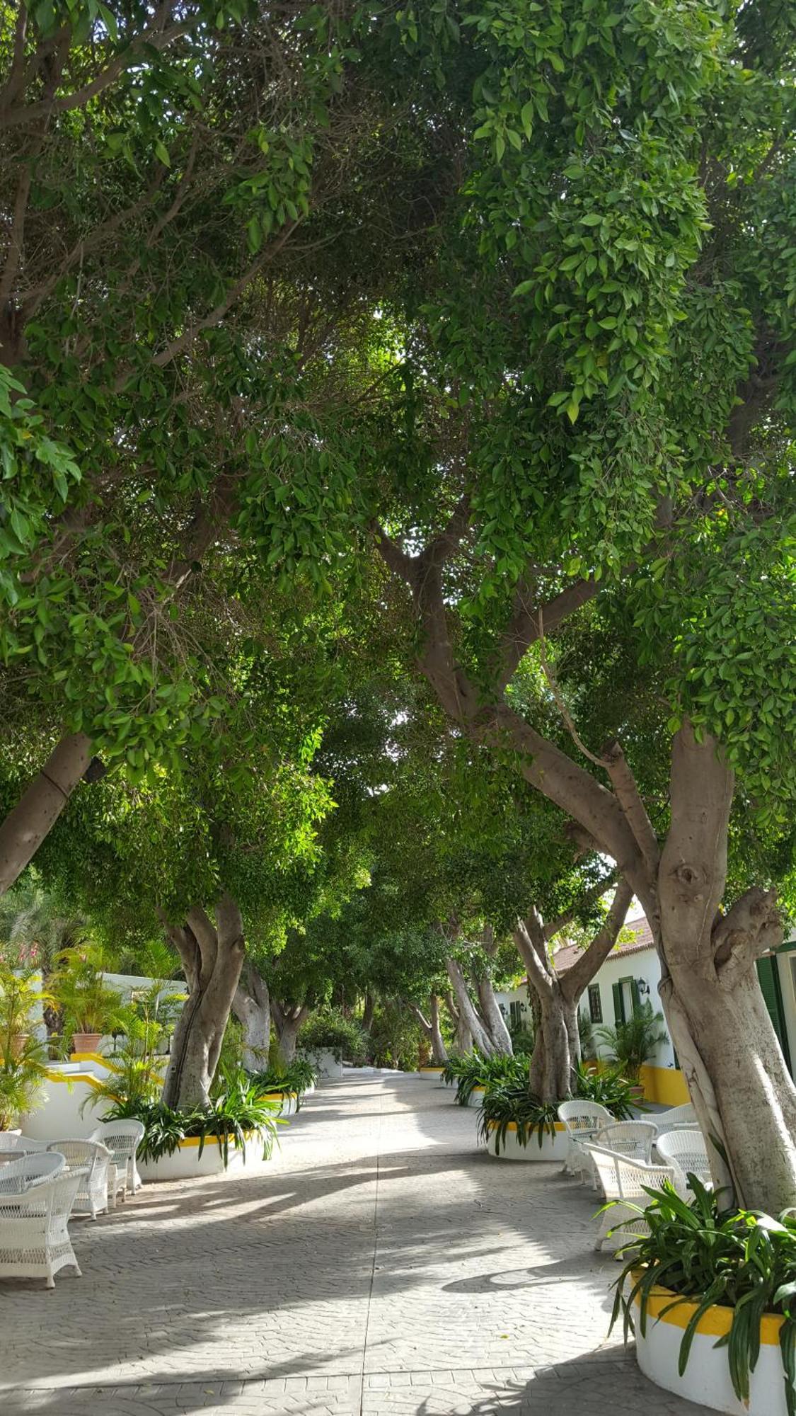 Cortijo San Ignacio Hotel El Cortijo  ภายนอก รูปภาพ