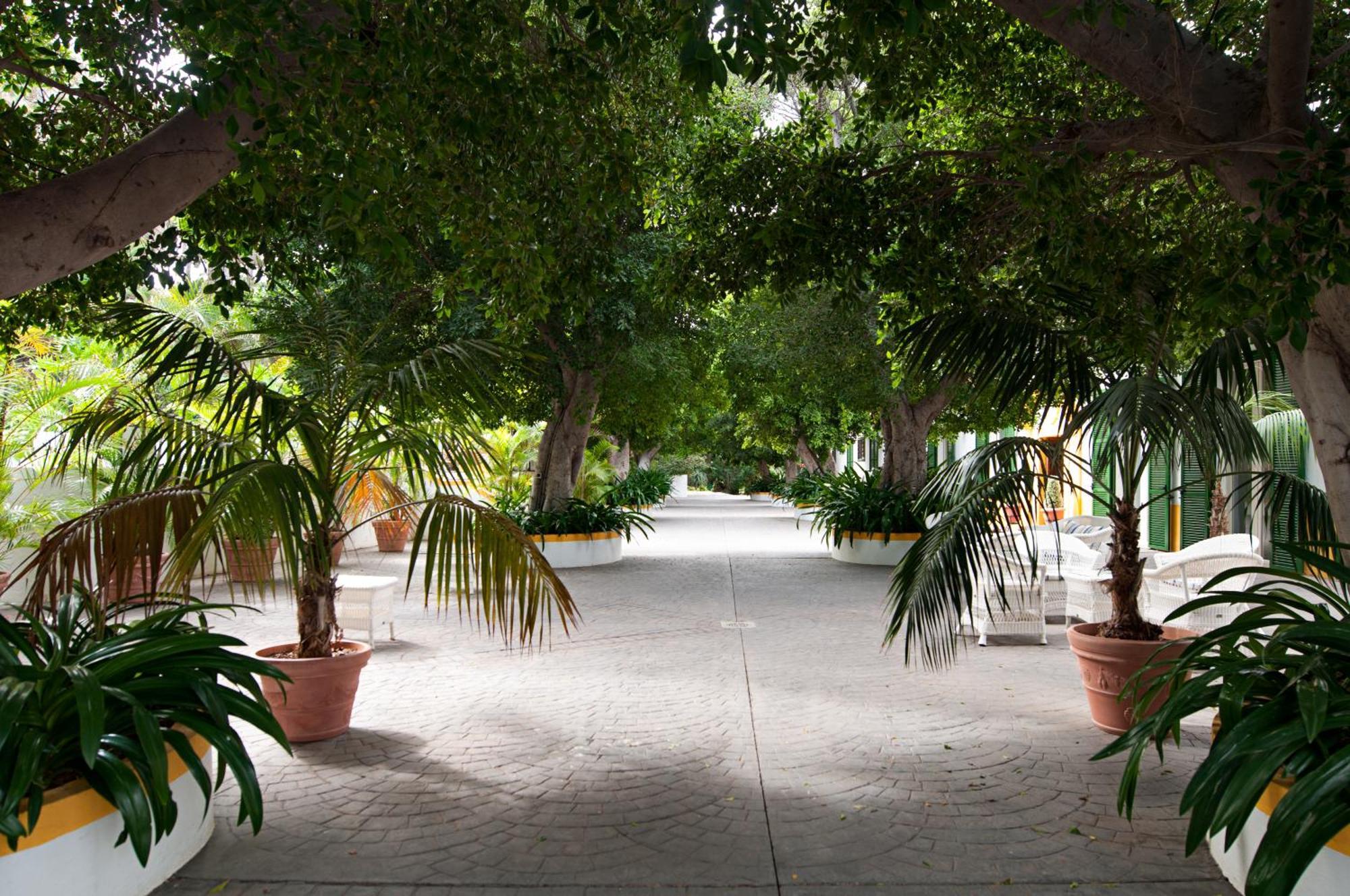 Cortijo San Ignacio Hotel El Cortijo  ภายนอก รูปภาพ